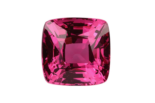 100021_pinker Spinell_Tansania