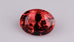 100019_oranger Spinell_Video